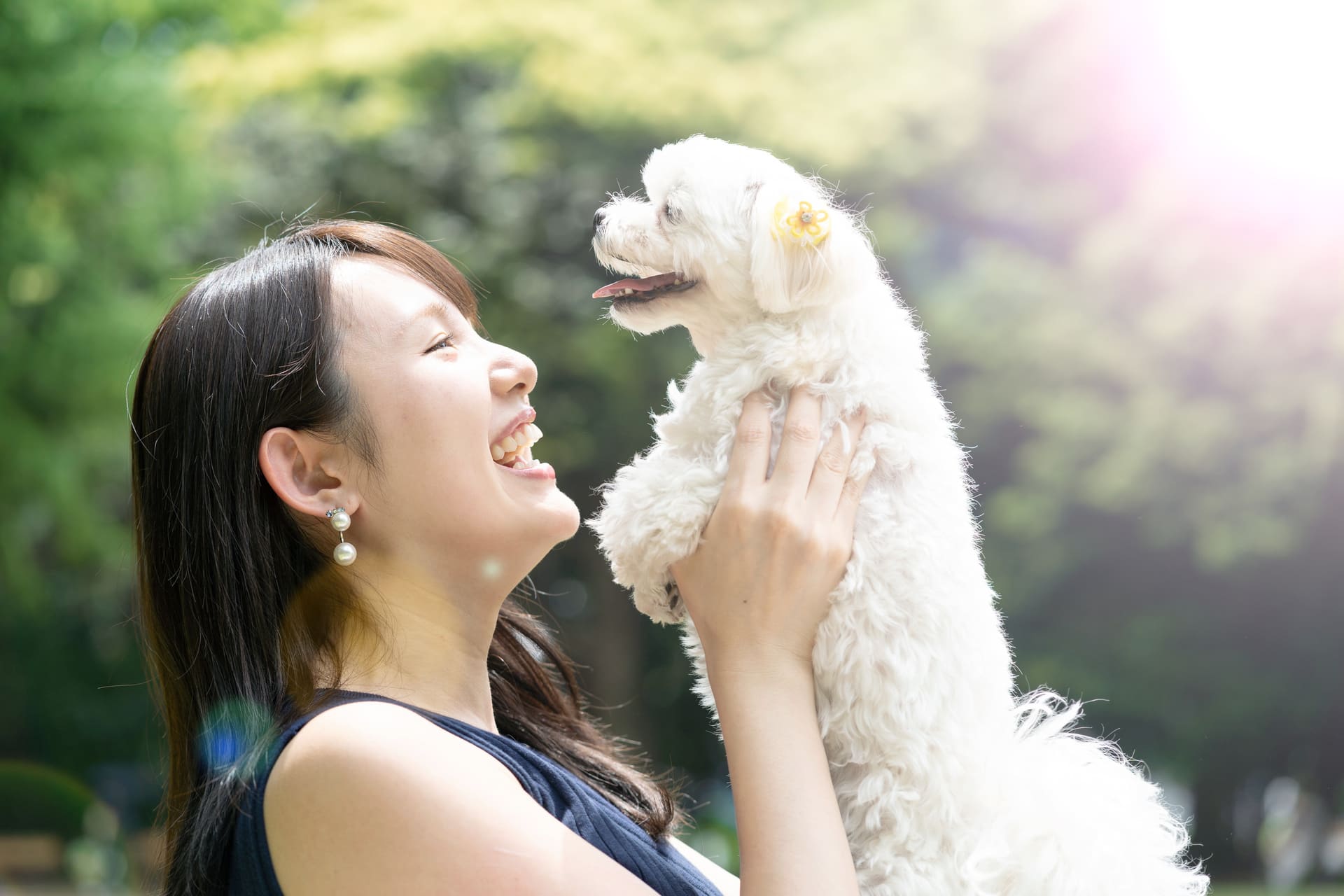 AdobeStock_273084226